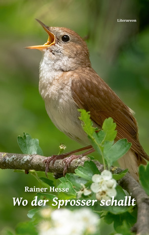 Wo der Sprosser schallt von Hesse,  Rainer