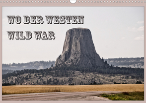 Wo der Westen wild war (Wandkalender 2021 DIN A3 quer) von Flori0