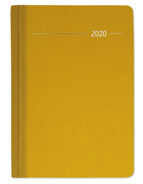 Wochen-Minitimer 192 Seiten Silk Line Gold 2020 – Bürokalender – Buchkalender A6 (10,7 x 15,2) – 1 Woche 2 Seiten – 192 Seiten – Notizbuch von ALPHA EDITION