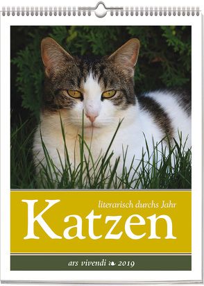 Wochenwandkalender: Katzen – literarisch durchs Jahr 2019