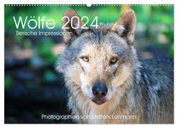 Wölfe 2024. Tierische Impressionen (Wandkalender 2024 DIN A2 quer), CALVENDO Monatskalender von Lehmann,  Steffani