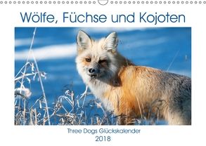Wölfe, Füchse und Kojoten (Wandkalender 2018 DIN A3 quer) von Malin,  Jana