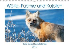 Wölfe, Füchse und Kojoten (Wandkalender 2019 DIN A3 quer) von Malin,  Jana