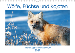Wölfe, Füchse und Kojoten (Wandkalender 2021 DIN A3 quer) von Malin,  Jana