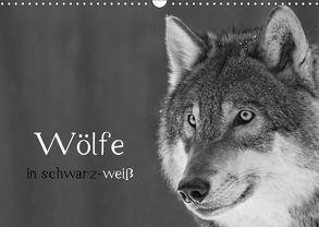 Wölfe in schwarz-weiß (Wandkalender 2019 DIN A3 quer) von Heufelder,  Steffi