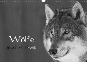 Wölfe in schwarz-weiß (Wandkalender 2020 DIN A3 quer) von Heufelder,  Steffi