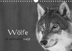 Wölfe in schwarz-weiß (Wandkalender 2020 DIN A4 quer) von Heufelder,  Steffi