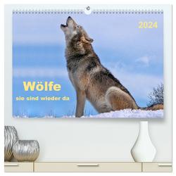 Wölfe – sie sind wieder da (hochwertiger Premium Wandkalender 2024 DIN A2 quer), Kunstdruck in Hochglanz von Roder,  Peter