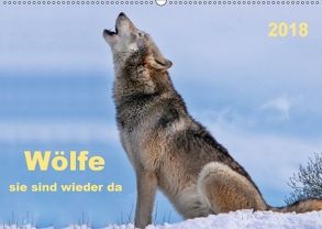 Wölfe – sie sind wieder da (Wandkalender 2018 DIN A2 quer) von Roder,  Peter
