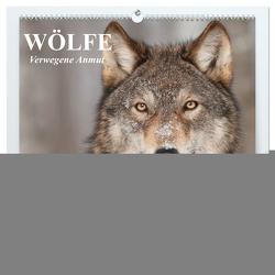 Wölfe. Verwegene Anmut (hochwertiger Premium Wandkalender 2024 DIN A2 quer), Kunstdruck in Hochglanz von Stanzer,  Elisabeth