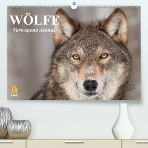 Wölfe. Verwegene Anmut (Premium, hochwertiger DIN A2 Wandkalender 2023, Kunstdruck in Hochglanz) von Stanzer,  Elisabeth
