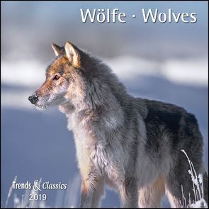 Wölfe Wolves 2019 – Broschürenkalender – Wandkalender – mit herausnehmbarem Poster – Format 30 x 30 cm von DUMONT Kalenderverlag