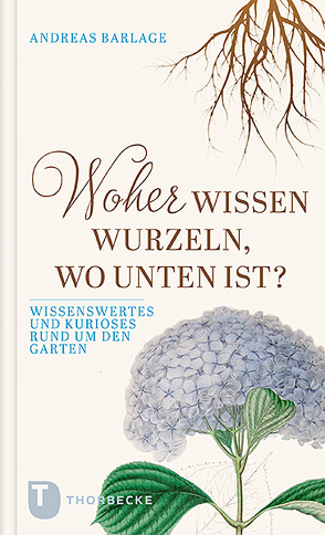 Woher wissen Wurzeln, wo unten ist? von Barlage,  Andreas