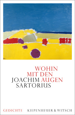 Wohin mit den Augen von Sartorius,  Joachim