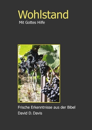 Wohlstand mit Gottes Hilfe von Davis,  David D.