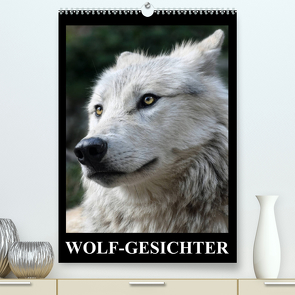 Wolf-Gesichter (Premium, hochwertiger DIN A2 Wandkalender 2023, Kunstdruck in Hochglanz) von Stanzer,  Elisabeth