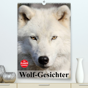 Wolf-Gesichter (Premium, hochwertiger DIN A2 Wandkalender 2023, Kunstdruck in Hochglanz) von Stanzer,  Elisabeth
