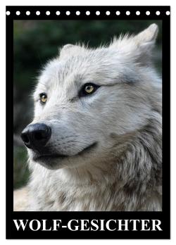 Wolf-Gesichter (Tischkalender 2024 DIN A5 hoch), CALVENDO Monatskalender von Stanzer,  Elisabeth