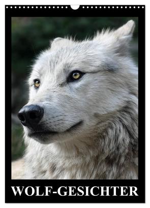 Wolf-Gesichter (Wandkalender 2024 DIN A3 hoch), CALVENDO Monatskalender von Stanzer,  Elisabeth