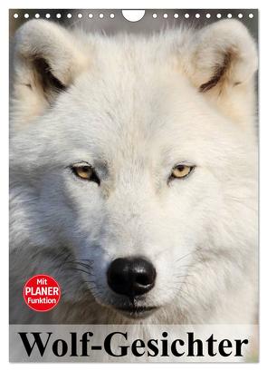 Wolf-Gesichter (Wandkalender 2024 DIN A4 hoch), CALVENDO Monatskalender von Stanzer,  Elisabeth