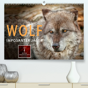 Wolf – Imposanter Jäger (Premium, hochwertiger DIN A2 Wandkalender 2023, Kunstdruck in Hochglanz) von Roder,  Peter