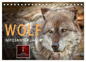 Wolf – Imposanter Jäger (Tischkalender 2024 DIN A5 quer), CALVENDO Monatskalender von Roder,  Peter