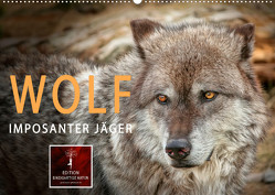 Wolf – Imposanter Jäger (Wandkalender 2023 DIN A2 quer) von Roder,  Peter