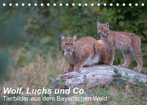 Wolf, Luchs und Co. – Tierbilder aus dem Bayerischen Wald (Tischkalender 2023 DIN A5 quer) von Buchmann,  Klaus, www.klaus-buchmann.de