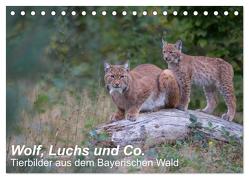 Wolf, Luchs und Co. – Tierbilder aus dem Bayerischen Wald (Tischkalender 2024 DIN A5 quer), CALVENDO Monatskalender von Buchmann,  www.klaus-buchmann.de,  Klaus