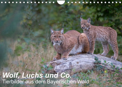 Wolf, Luchs und Co. – Tierbilder aus dem Bayerischen Wald (Wandkalender 2023 DIN A4 quer) von Buchmann,  Klaus, www.klaus-buchmann.de