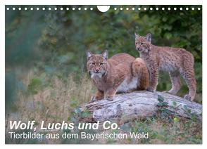 Wolf, Luchs und Co. – Tierbilder aus dem Bayerischen Wald (Wandkalender 2024 DIN A4 quer), CALVENDO Monatskalender von Buchmann,  www.klaus-buchmann.de,  Klaus