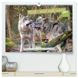 Wolf – wild und schön (hochwertiger Premium Wandkalender 2024 DIN A2 quer), Kunstdruck in Hochglanz von Riedel,  Tanja