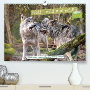 Wolf – wild und schön (Premium, hochwertiger DIN A2 Wandkalender 2023, Kunstdruck in Hochglanz) von Riedel,  Tanja