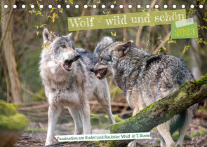 Wolf – wild und schön (Tischkalender 2023 DIN A5 quer) von Riedel,  Tanja