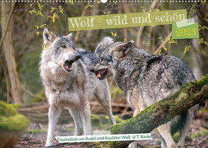 Wolf – wild und schön (Wandkalender 2023 DIN A2 quer) von Riedel,  Tanja