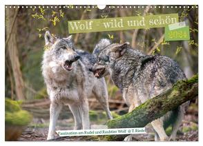 Wolf – wild und schön (Wandkalender 2024 DIN A3 quer), CALVENDO Monatskalender von Riedel,  Tanja