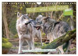 Wolf – wild und schön (Wandkalender 2024 DIN A4 quer), CALVENDO Monatskalender von Riedel,  Tanja
