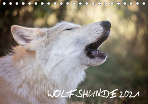 Wolfshunde 2021 (Tischkalender 2021 DIN A5 quer) von Photographie,  ARTness