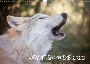 Wolfshunde 2023 (Wandkalender 2023 DIN A3 quer) von Photographie,  ARTness