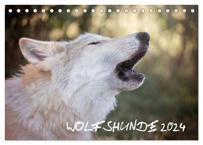 Wolfshunde 2024 (Tischkalender 2024 DIN A5 quer), CALVENDO Monatskalender von Photographie,  ARTness