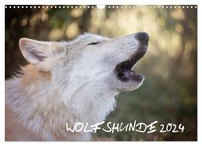 Wolfshunde 2024 (Wandkalender 2024 DIN A3 quer), CALVENDO Monatskalender von Photographie,  ARTness