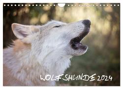 Wolfshunde 2024 (Wandkalender 2024 DIN A4 quer), CALVENDO Monatskalender von Photographie,  ARTness