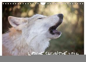 Wolfshunde 2024 (Wandkalender 2024 DIN A4 quer), CALVENDO Monatskalender von Photographie,  ARTness