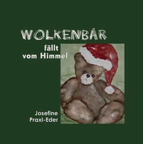 Wolkenbär fällt vom Himmel von Praxl-Eder,  Josefine