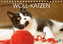Woll-Katzen (Tischkalender 2021 DIN A5 quer) von CALVENDO