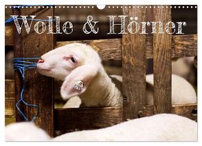 Wolle & Hörner (Wandkalender 2024 DIN A3 quer), CALVENDO Monatskalender von Krämer,  Hannah