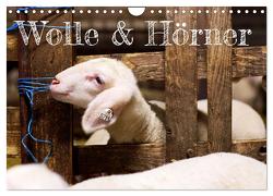 Wolle & Hörner (Wandkalender 2024 DIN A4 quer), CALVENDO Monatskalender von Krämer,  Hannah