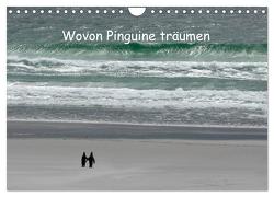Wovon Pinguine träumen (Wandkalender 2024 DIN A4 quer), CALVENDO Monatskalender von Skrypzak,  Rolf
