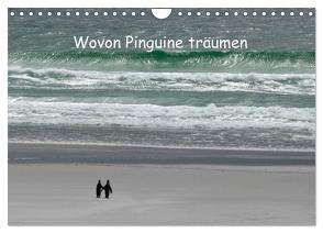 Wovon Pinguine träumen (Wandkalender 2024 DIN A4 quer), CALVENDO Monatskalender von Skrypzak,  Rolf