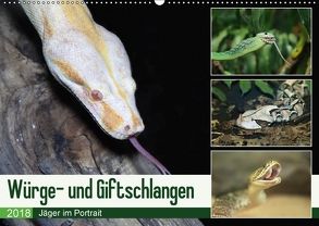 Würge- und Giftschlangen (Wandkalender 2018 DIN A2 quer) von N.,  N.